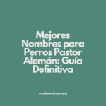 Mejores Nombres para Perros Pastor Alemán: Guía Definitiva